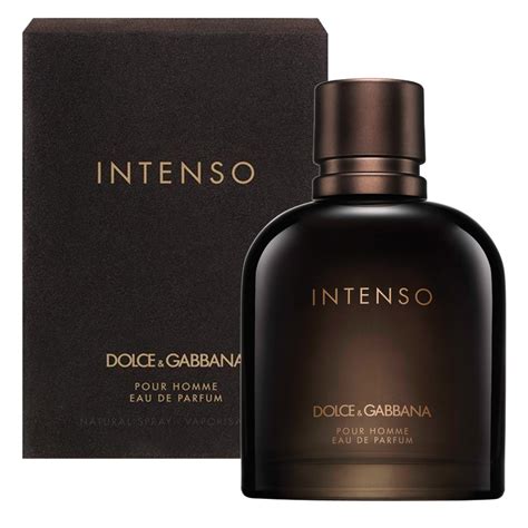 dolce gabbana intense parfum|dolce gabbana intense for men.